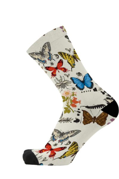 Red Fox Sox - Flutter