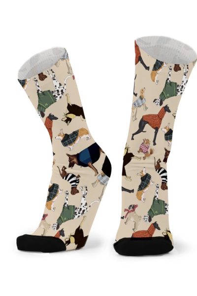 Red Fox Sox - Best In Show