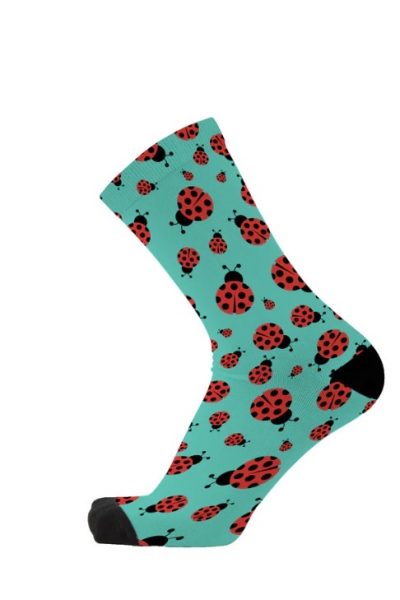 Red Fox Sox - Like A Lady